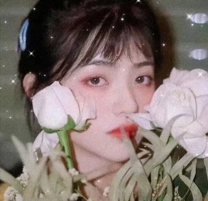 醒狮 粤语